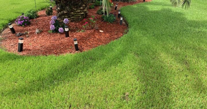 Now Offering Complete Yard Clean Ups Featured Image