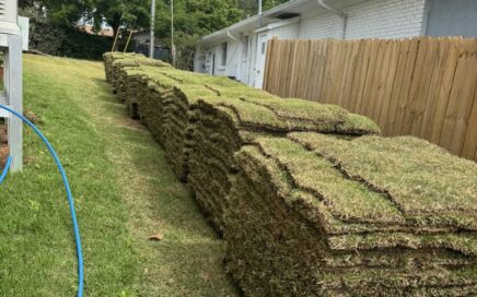 How to Care for Your Fresh Sod 01