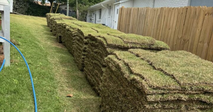 How to Care for Your Fresh Sod 01