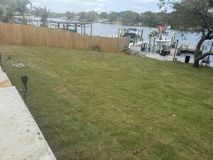 Proper Mowing Techniques