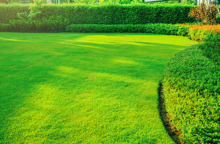 Lawn Care Revival
